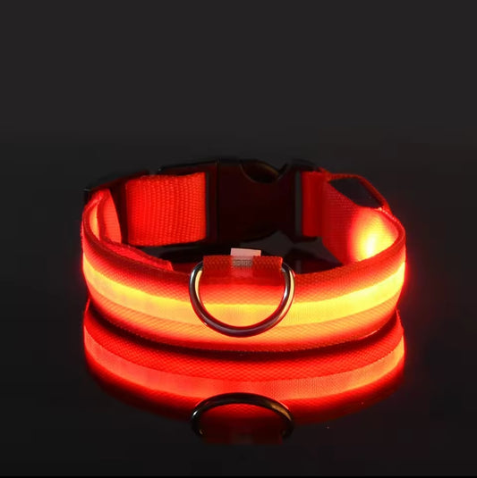 Collar para perros con luz LED