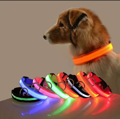 Collar para perros con luz LED
