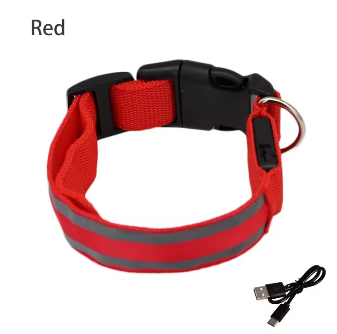Collar para perros con luz LED
